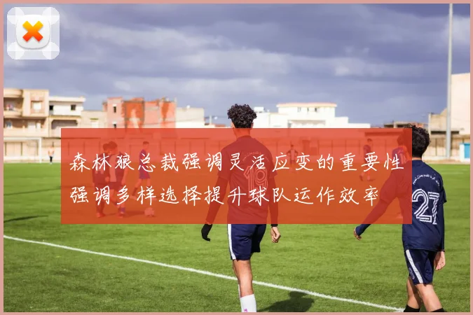 森林狼总裁强调灵活应变的重要性强调多样选择提升球队运作效率
